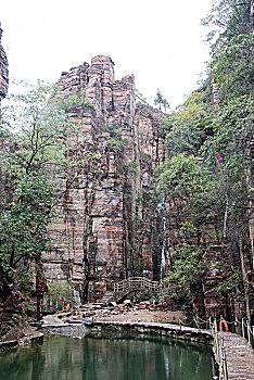 rong bach kim 88 99