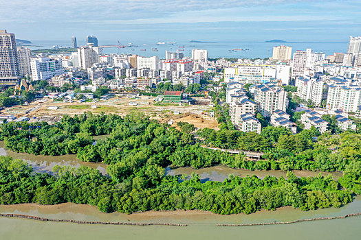 soi cau lo de chinh xac 100