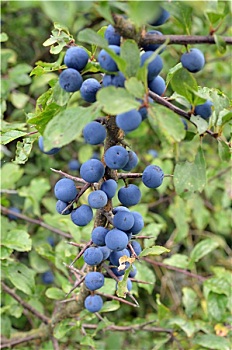 soi cầu xổ số kiên giang