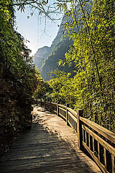 soi cau 2 nhay rong bach kim