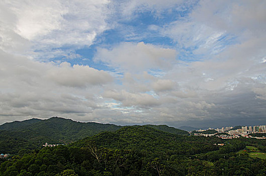 bạch thủ bình định