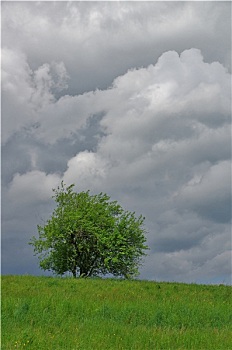 dự đoán mb