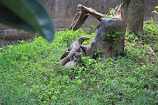 xo so minh ngoc mien bac