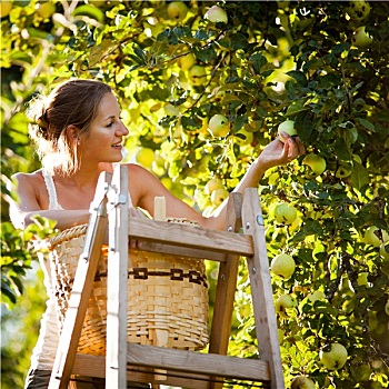 trực tiếp kết quả xổ số miền nam