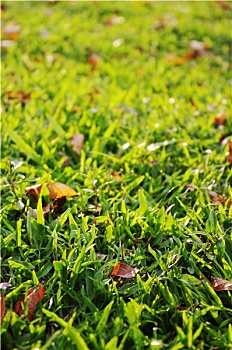 soi cầu đề