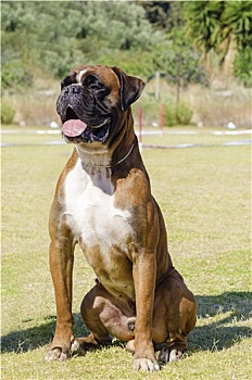 du doan xo so daklak chinh xac