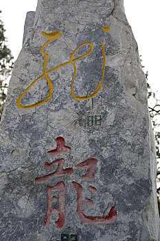 soi cau rong bach kim 247