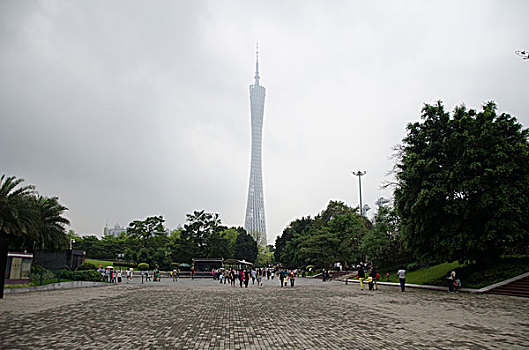 bạch thu mb