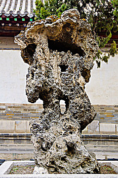 soi câu rong bạch kim
