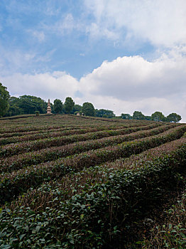 đánh lô đề trực tuyến