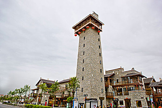 soi cau bach thu