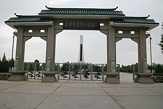 soi cau 365
