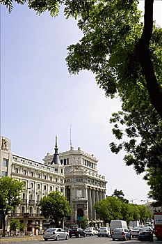 soi cau dng