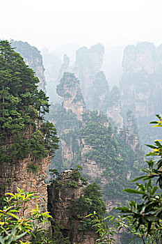 cầu lô kép