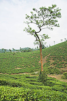 bach thu de mien bac hom nay