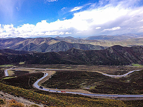 rong bach kim 366