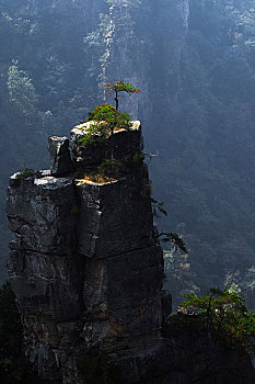xổ số hải phòng