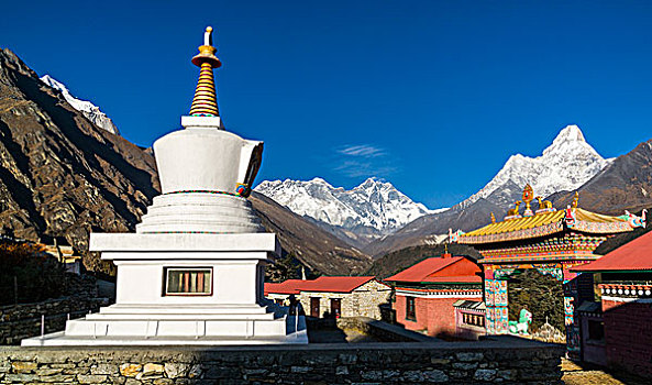 soi cau bach rong kim