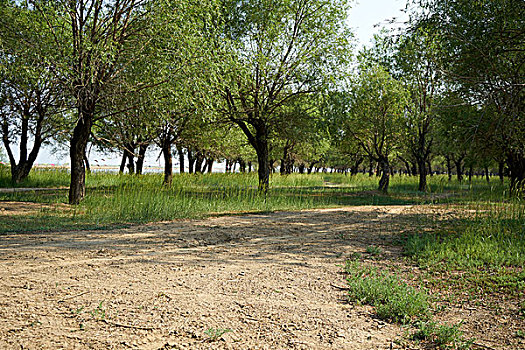 số long an