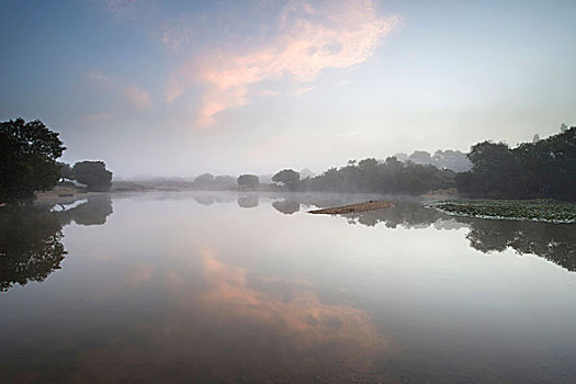 du doan rong bach kim