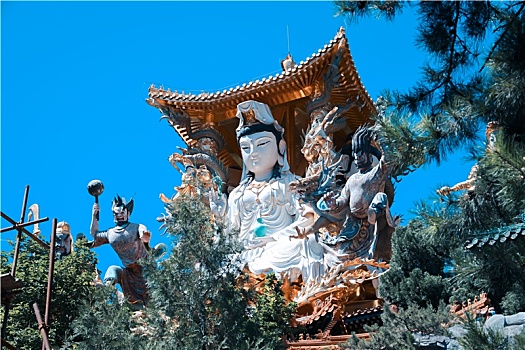 soi cau pham tuan