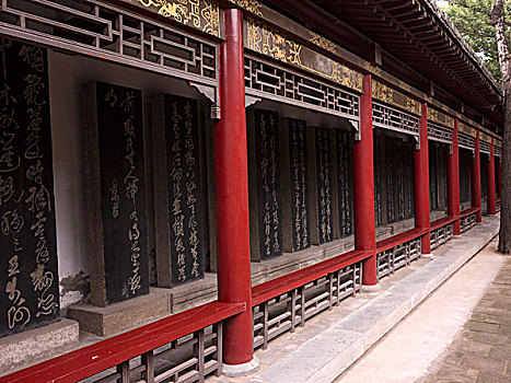 dự đoán xs wap