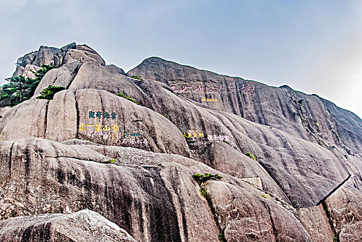 soi cau 363