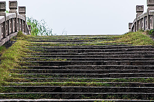 bach thu soi cau