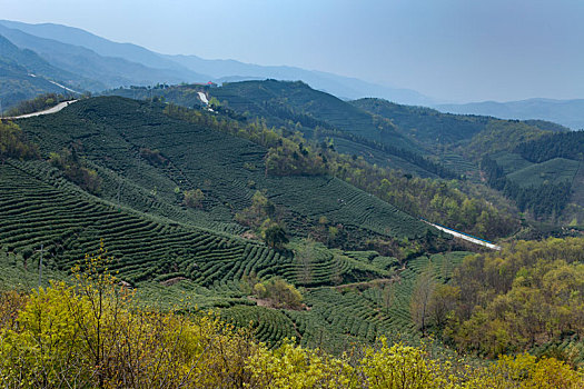 xs bình định