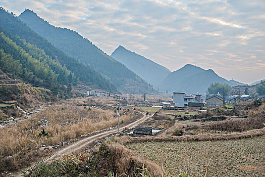 binh luan lo de
