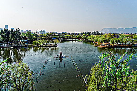 soi cau mb bach thu lo