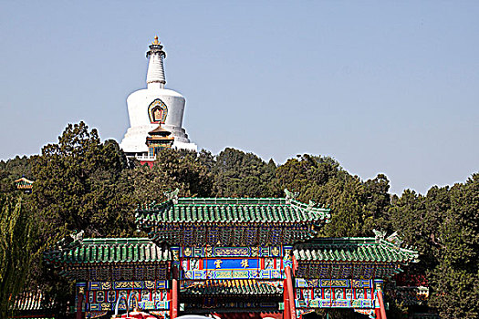 hôm nay lô về con gì