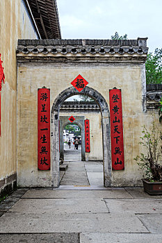 bach thu lo 366