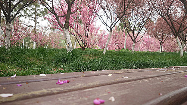 xổ số thần tài