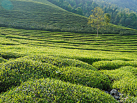 xổ số hải phòng