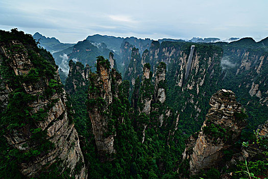 phân tích lô bạch thủ