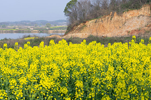cach tinh lo de mien nam