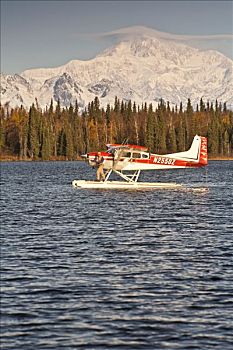cau 888