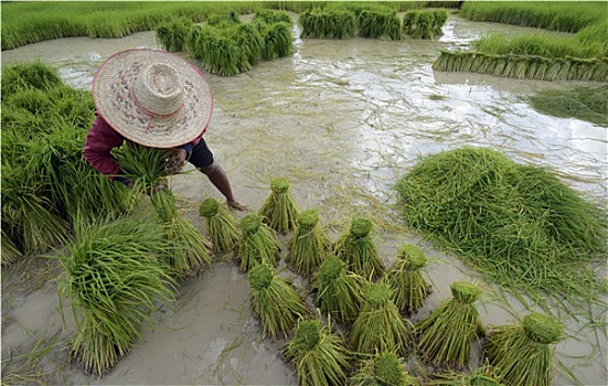 xổ số keno