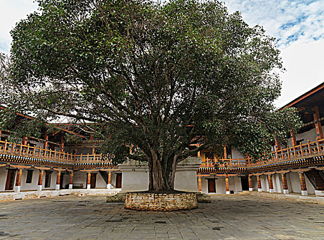 xskt đồng tháp