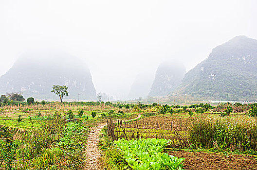 xs binh dinh hom nay