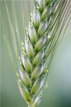 số đề miền bắc hôm nay