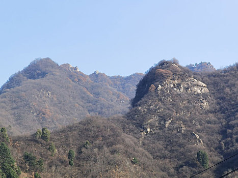 rong bach kim 888 wap sh