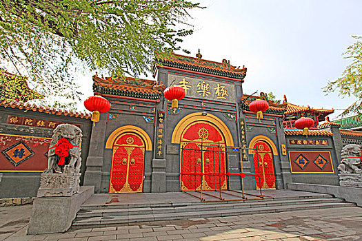 hoi lo de 8668