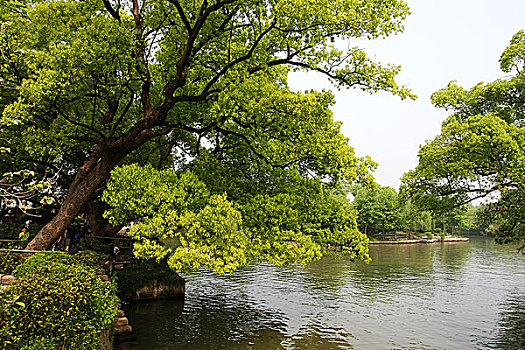 thống kê kết quả vietlott