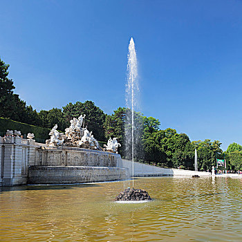rong bach kim 888