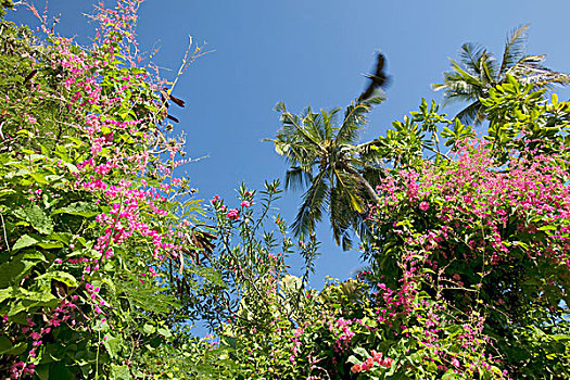 xsmn thu 6 hang tuan minh ngoc