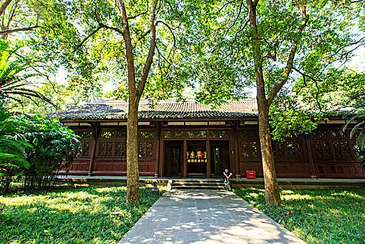 rong bach kim 247