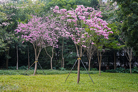 du doan kqxs trung thuong