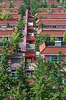 xs quangngai